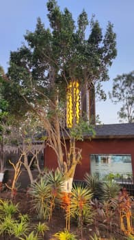 4 BHK Independent House for Sale in Aundh, Pune